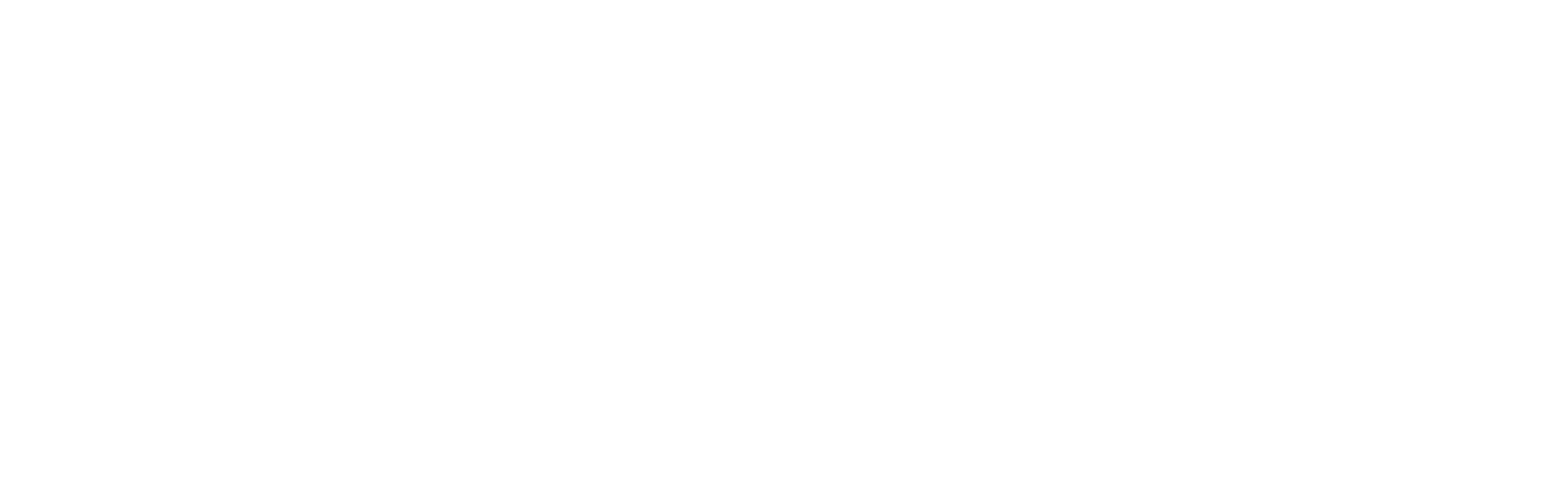 OM Consulting Pro Logo